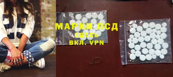 стафф Инта