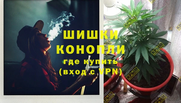 стафф Инта