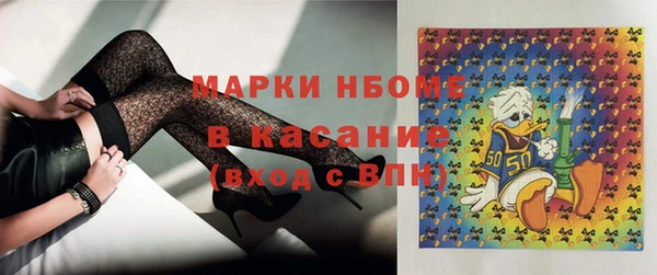 стафф Инта
