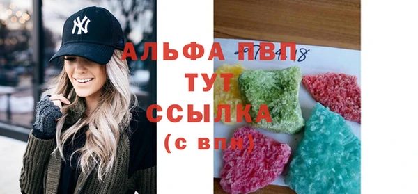 стафф Инта