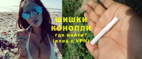 стафф Инта