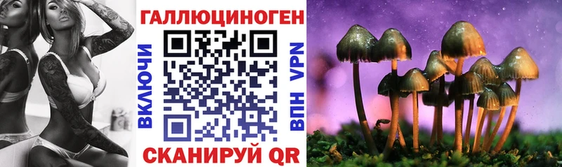 Купить закладки  Ейск  Галлюциногенные грибы Magic Shrooms 